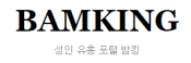 밤킹